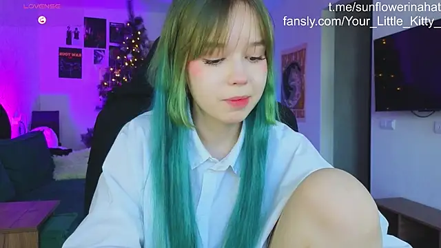 812sunflowerinahat online show from 20, 12, 2024