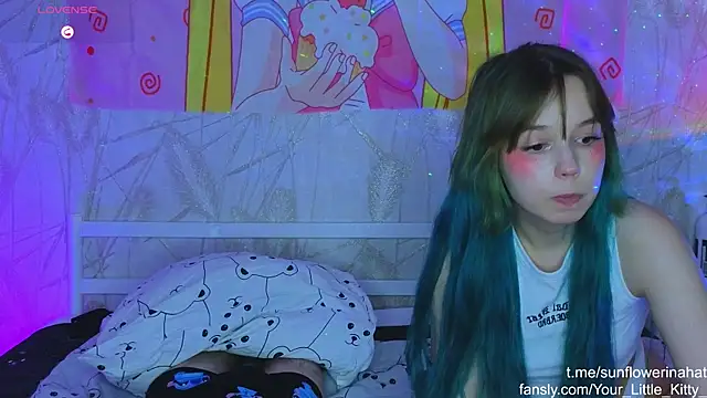 812sunflowerinahat online show from 26, 12, 2024