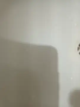 Snapshot of 1995eduardo chatting on 17, 2, 2025 1995eduardo online show from 17, 2, 2025