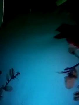 gunjan22 online show from 31, 12, 2024