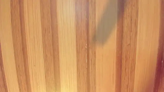 Taylor  cooper online show from 1, 12, 2025