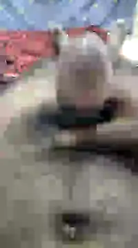 mallucallboy2104 online show from 10, 12, 2024