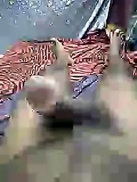 mallucallboy2104 online show from 30, 12, 2024