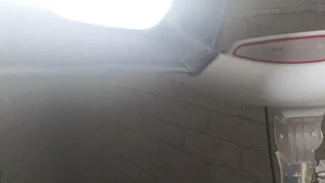 Nika Kitten online show from 12, 1, 2026