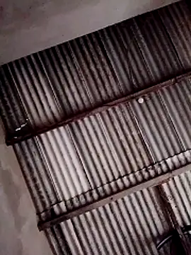 Snapshot of Viny459 chatting on 14, 12, 2025 Viny459 online show from 14, 12, 2025