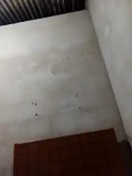 Snapshot of Viny459 chatting on 21, 12, 2025 Viny459 online show from 21, 12, 2025