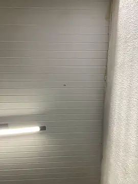 Snapshot of luara1988 chatting on 27, 9, 2025 luara1988 online show from 27, 9, 2025