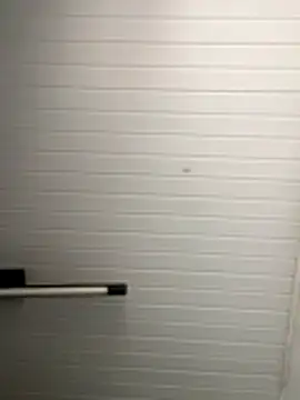 Snapshot of luara1988 chatting on 8, 11, 2025 luara1988 online show from 8, 11, 2025