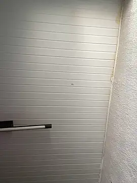 Snapshot of luara1988 chatting on 12, 11, 2025 luara1988 online show from 12, 11, 2025