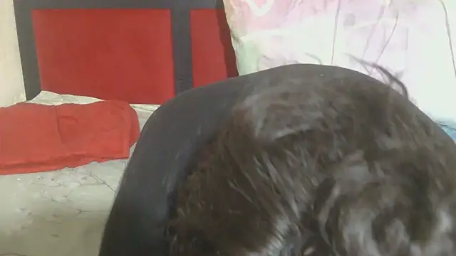 MaximTease24 online show from 12, 6, 2026