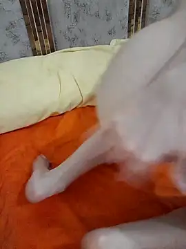 Snapshot of abyusif101099 chatting on 25, 2, 2025 abyusif101099 online show from 25, 2, 2025