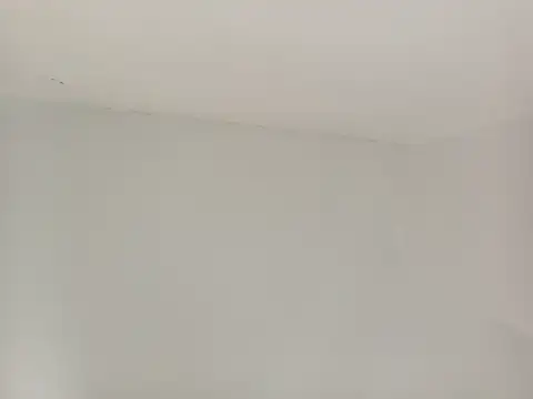 Snapshot of paladerler chatting on 25, 3, 2026 paladerler online show from 25, 3, 2026