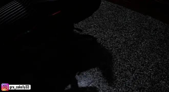 Snapshot of gracekelly12 chatting on 4, 12, 2024 gracekelly12 online show from 4, 12, 2024