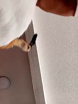 Skylar-Vox- online show from 23, 9, 2025