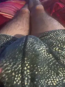 solomec online show from 20, 12, 2025