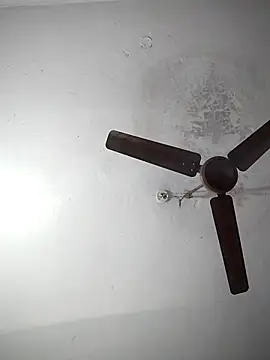 sana14 online show from 19, 12, 2025