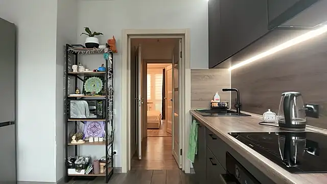 jainesummer online show from 11, 11, 2025