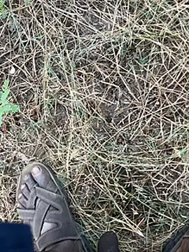 tamil000000 online show from 11, 3, 2025