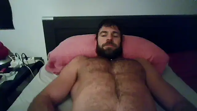 Snapshot of alpha-hunk chatting on 29, 10, 2025 alpha-hunk online show from 29, 10, 2025