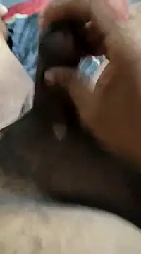 misteriosodoRj online show from 28, 1, 2025