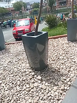 Lexwelll online show from 16, 3, 2025