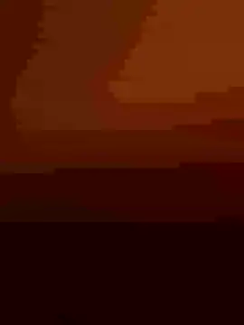 sailord online show from 21, 12, 2024