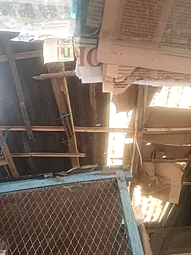 Snapshot of Skinny_Bigass_23 chatting on 1, 12, 2025 Skinny Bigass 23 online show from 1, 12, 2025