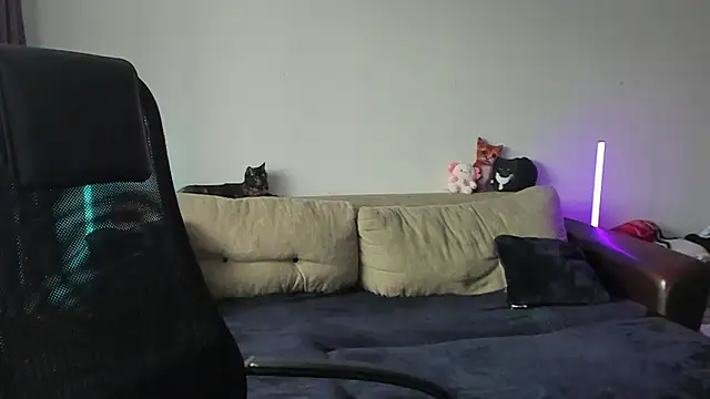 Snapshot of Ostin_meow chatting on 3, 7, 2026 Ostin meow online show from 3, 7, 2026