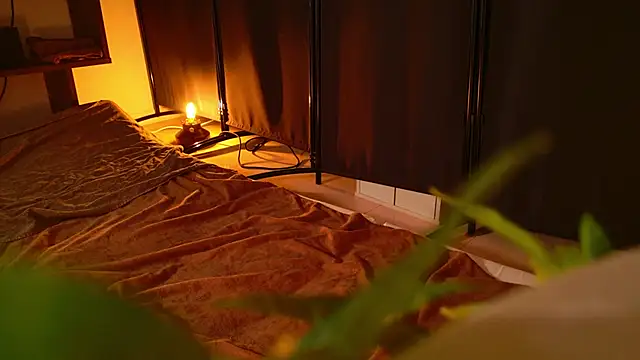 undo-busoku69 online show from 18, 2, 2025