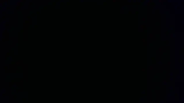 W N G S online show from 15, 10, 2025