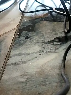 imissyoumylove14 online show from 7, 2, 2026