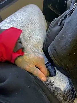 Fuckboy4public online show from 29, 12, 2024