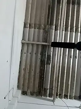 Sex-Nia online show from 19, 12, 2024