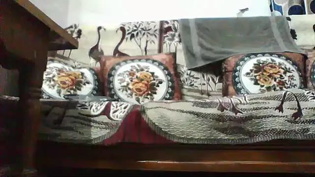 shalini fire online show from 29, 7, 2026