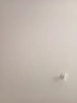 Morguisssz online show from 18, 9, 2025