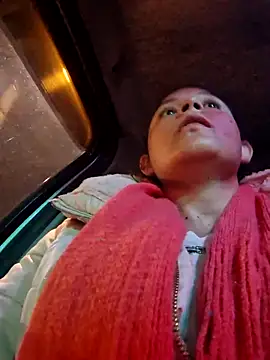 nidia2026 online show from 11, 3, 2025