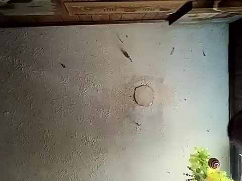 realoneNocap online show from 12, 11, 2025