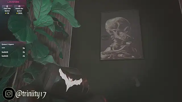 Snapshot of Trinity___s chatting on 1, 1, 2025 Trinity s online show from 1, 1, 2025