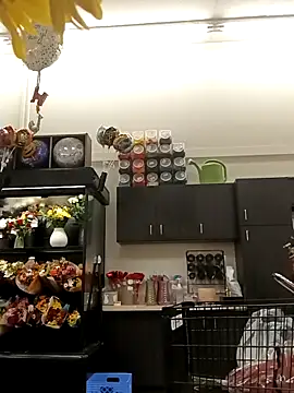 Snapshot of kobrashekyng chatting on 20, 10, 2025 kobrashekyng online show from 20, 10, 2025