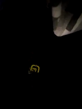 sanek1995sexx online show from 28, 9, 2025