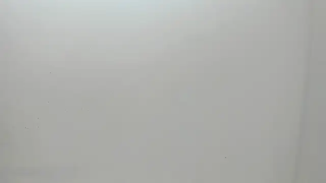 Flynn Riider online show from 1, 3, 2025