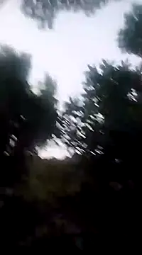 Danna-linyi online show from 20, 12, 2024