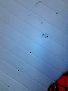 Snapshot of frotasso chatting on 12, 12, 2024 frotasso online show from 12, 12, 2024