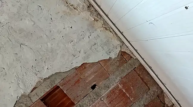 Snapshot of frotasso chatting on 18, 1, 2025 frotasso online show from 18, 1, 2025