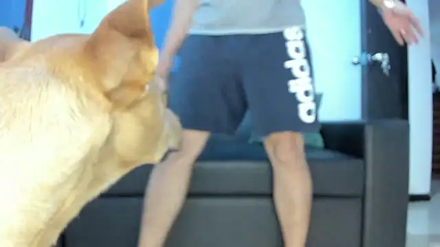 Snapshot of boss_of_cash chatting on 18, 10, 2025 boss of cash online show from 18, 10, 2025