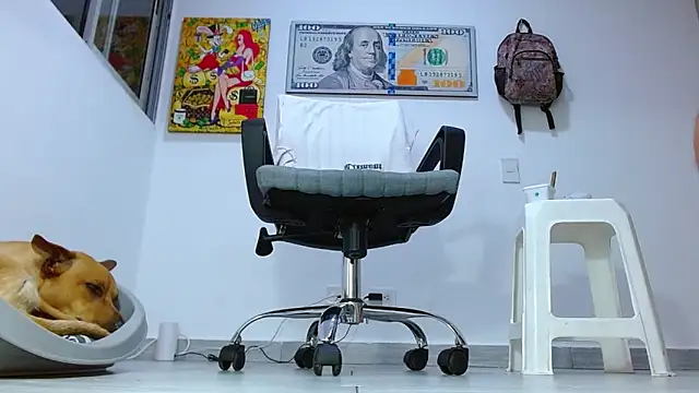 boss of cash online show from 13, 7, 2026