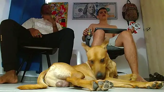 boss of cash online show from 14, 7, 2026