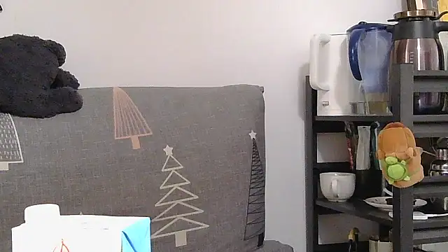 Snapshot of 866532 chatting on 19, 12, 2025 866532 online show from 19, 12, 2025