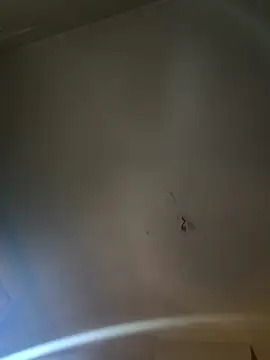 Snapshot of Jiimy2fois chatting on 6, 3, 2026 Jiimy2fois online show from 6, 3, 2026