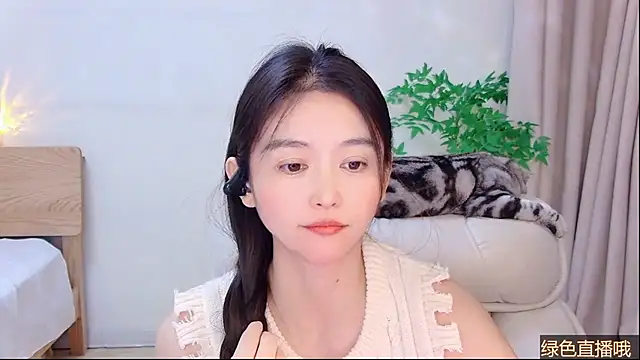 CN-Babycat online show from 7, 2, 2026